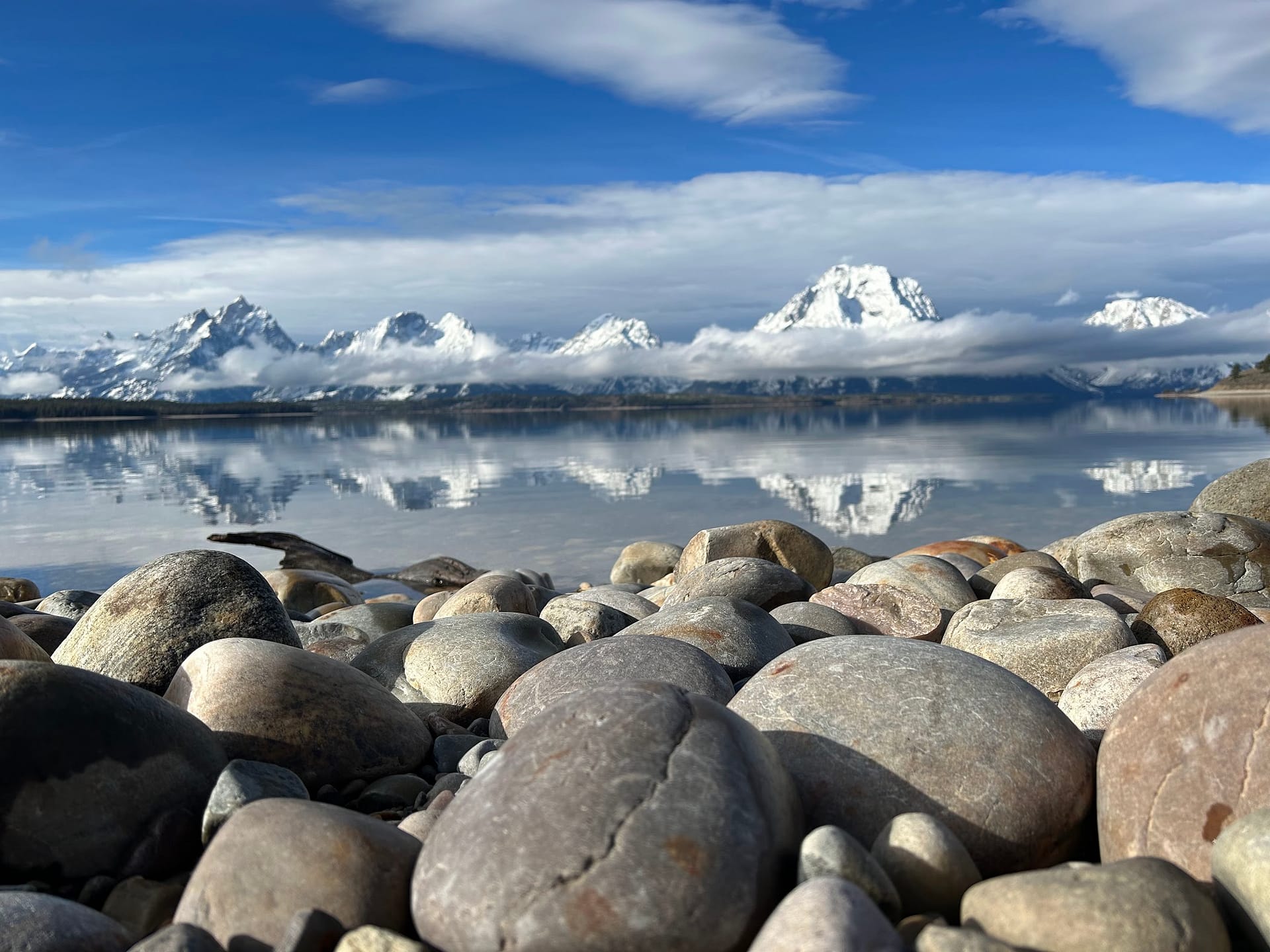 Vegan in Jackson, Wyoming Traveling Tofu